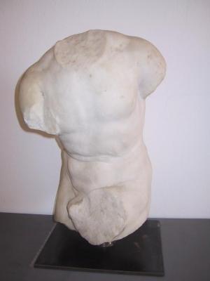 Torse masculin